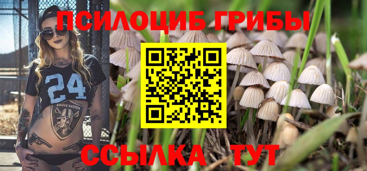 Галлюциногенные грибы Cubensis Златоуст
