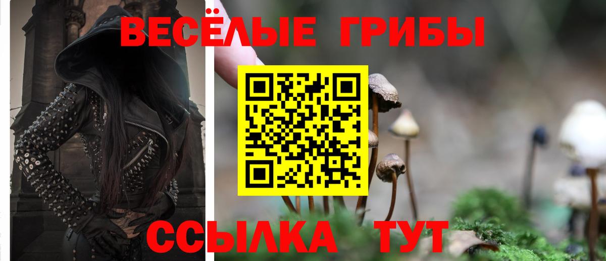 Галлюциногенные грибы Psilocybine cubensis  Галлюциногенные грибы Magic Shrooms  Вход с VPN  Златоуст 